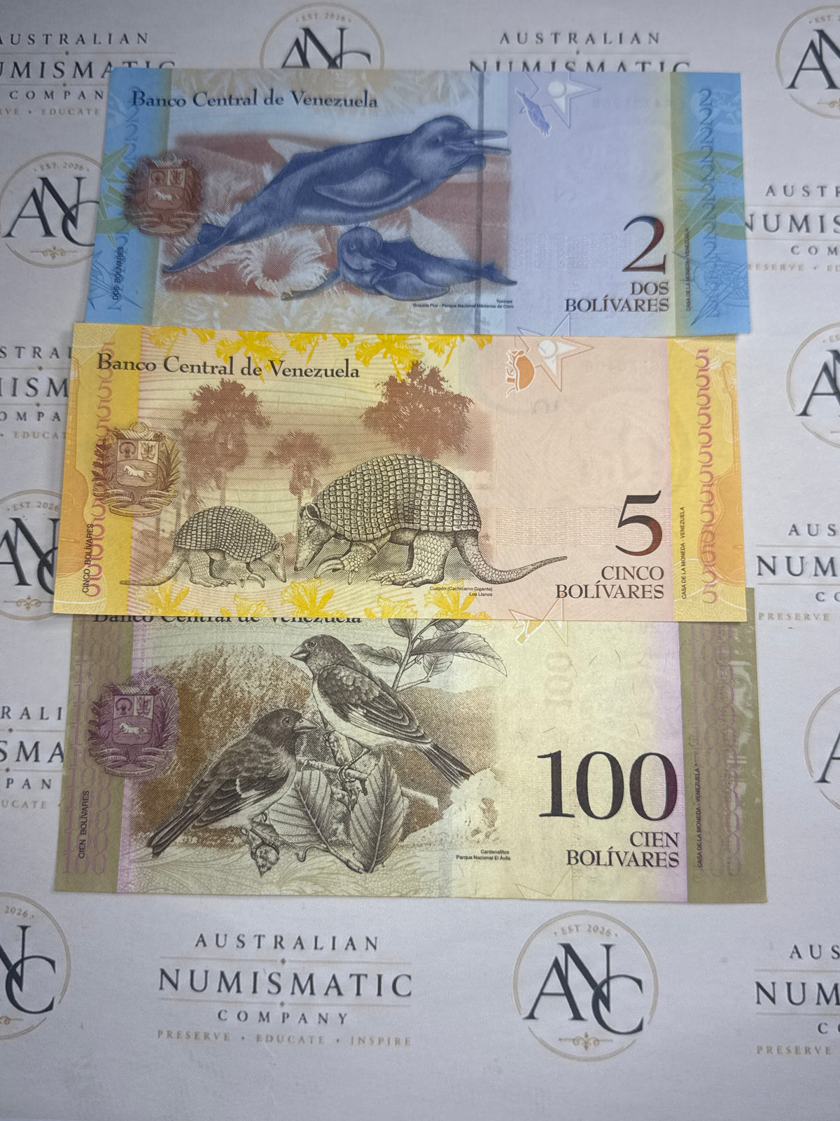 Venezuela 2, 5 & 100 Bolívares – Three Banknote Set