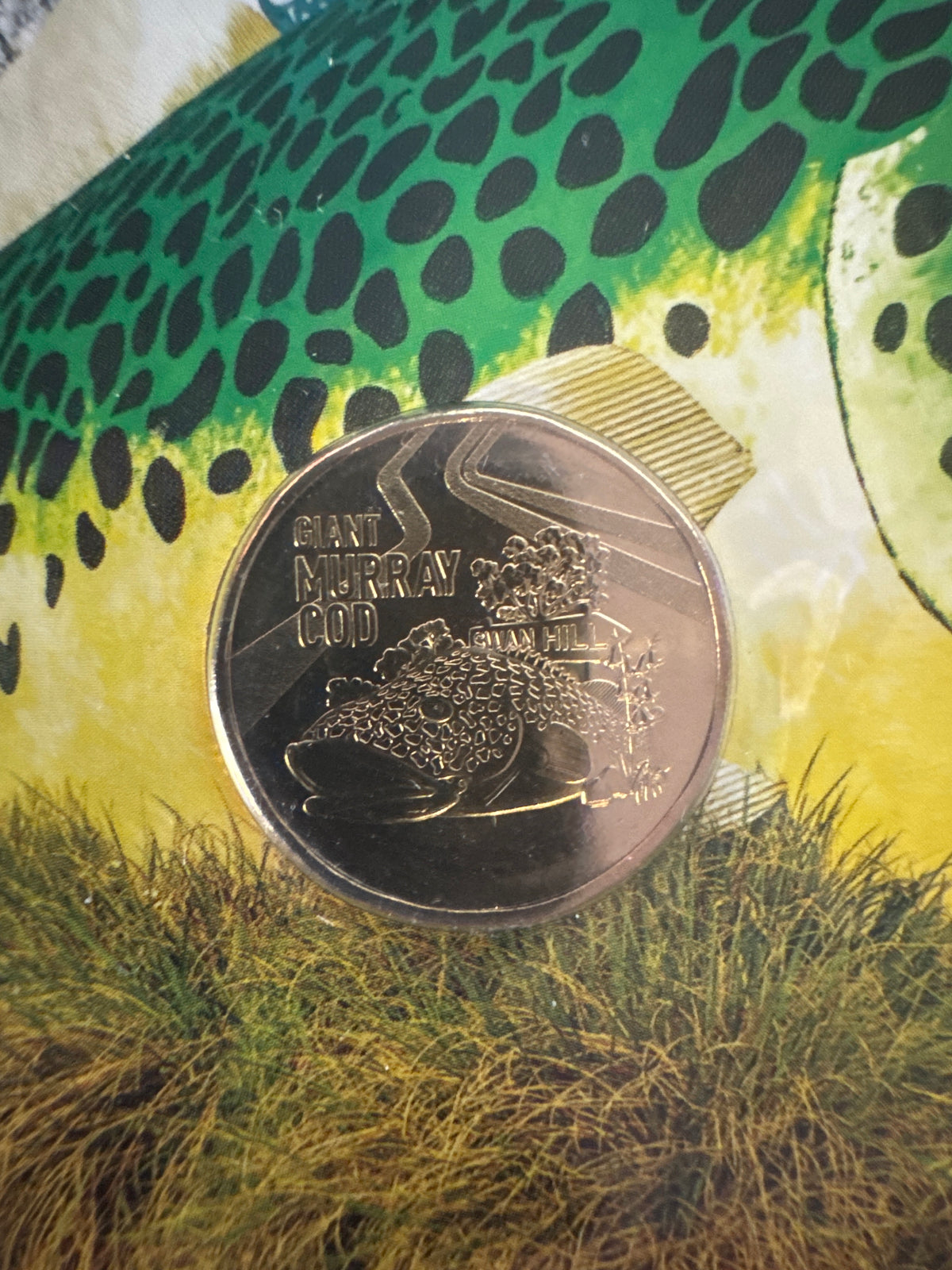 2023 Aussie Big Things – Giant Murray Cod PNC