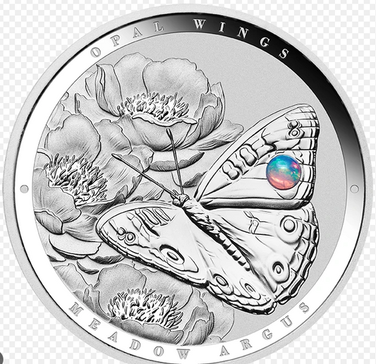 Wings of Wonder Meadow Argus 1oz Butterfly